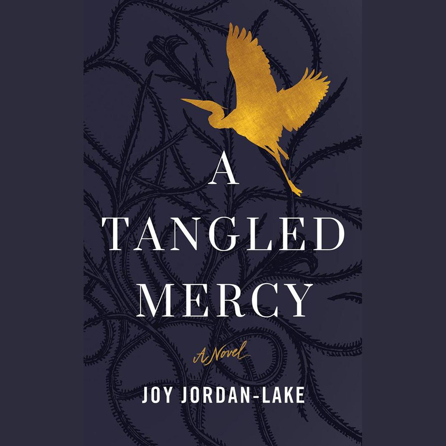 A Tangled Mercy: A Novel Audiobook, by Joy Jordan-Lake