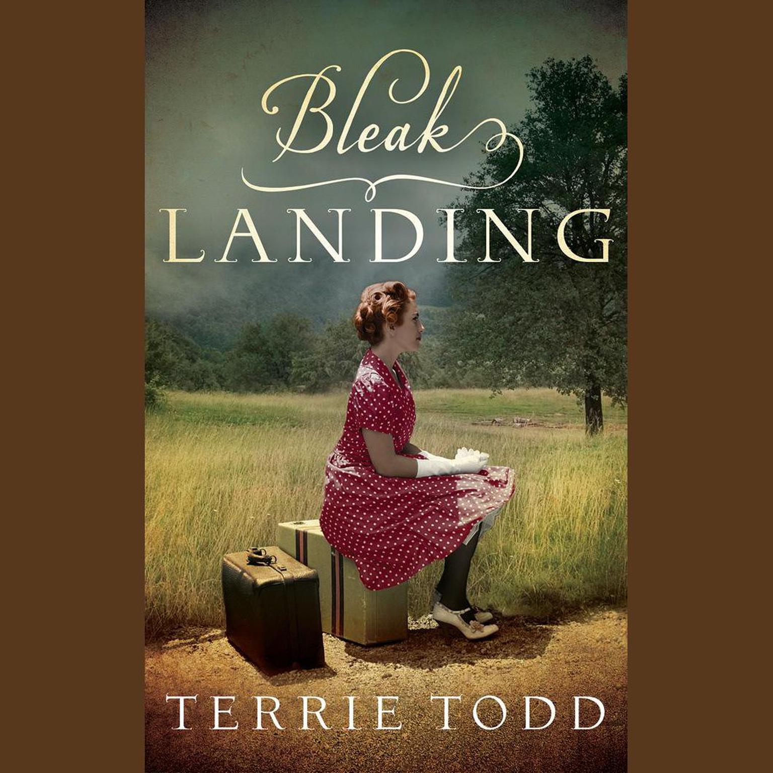 Bleak Landing Audiobook, by Terrie Todd
