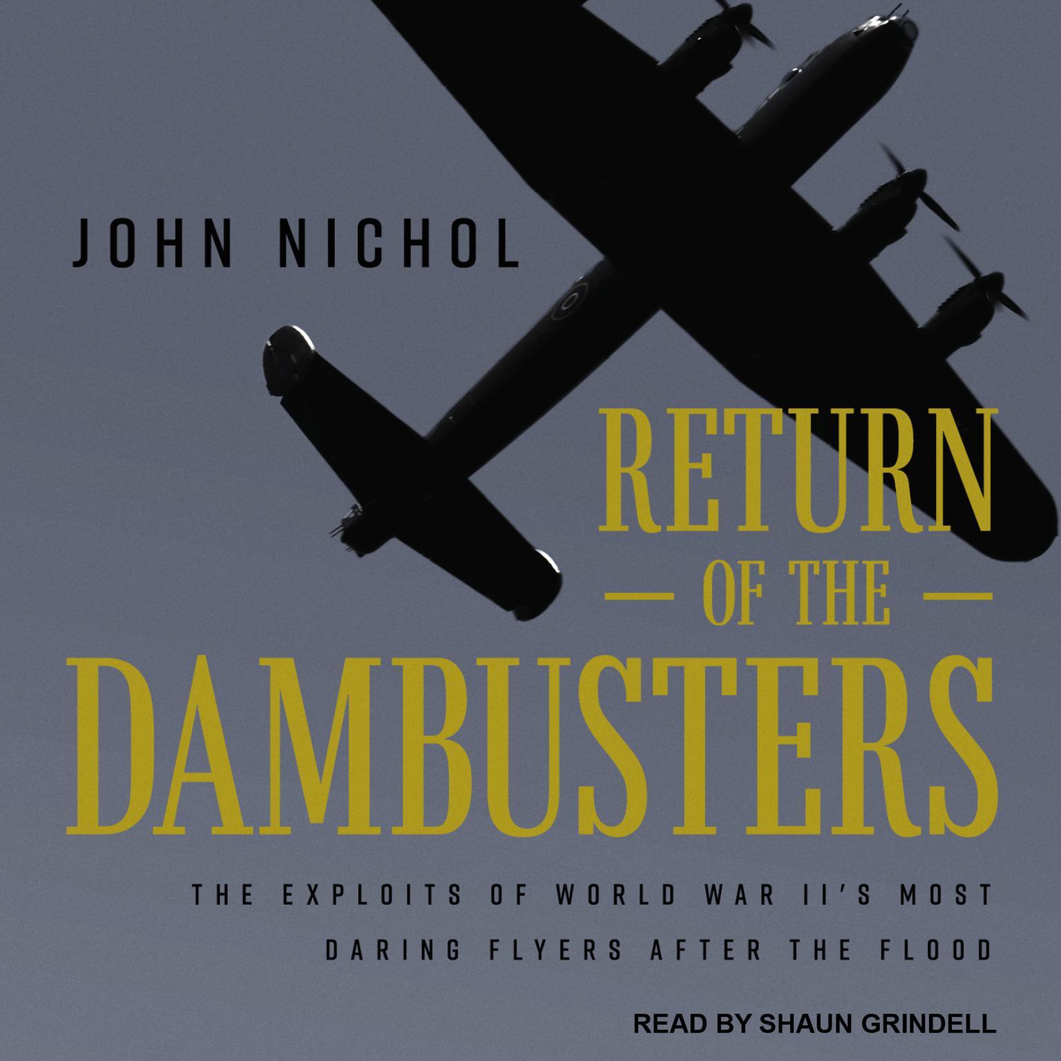Return of the Dambusters: The Exploits of World War IIs Most Daring Flyers After the Flood Audiobook, by John Nichol