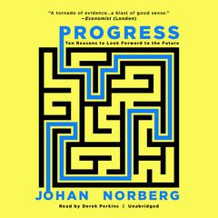 Progress: Ten Reasons to Look Forward to the Future Audiobook, by 