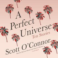 A Perfect Universe: Ten Stories Audiobook, by Scott O’Connor