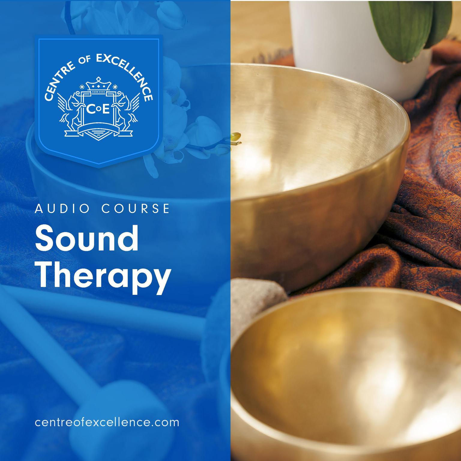 Sound Therapy Audiobook, by Centre of Excellence