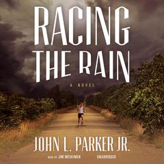 Racing the Rain: A Novel Audiobook, by 