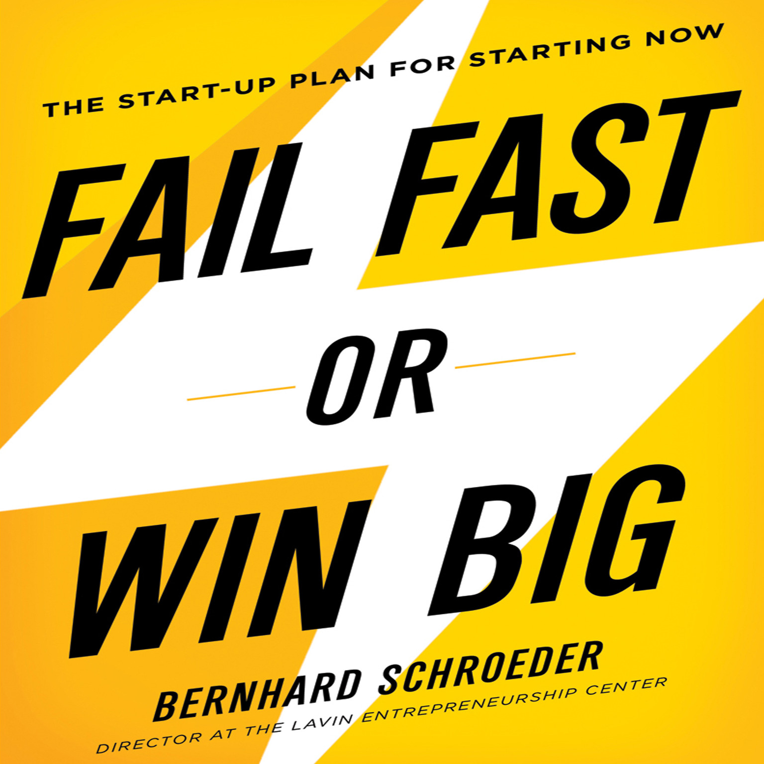 Fail Fast or Win Big: The Start-Up Plan for Starting Now Audiobook, by Bernhard Schroeder