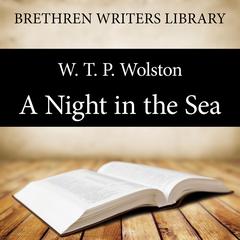 A Night in the Sea Audiobook, by 