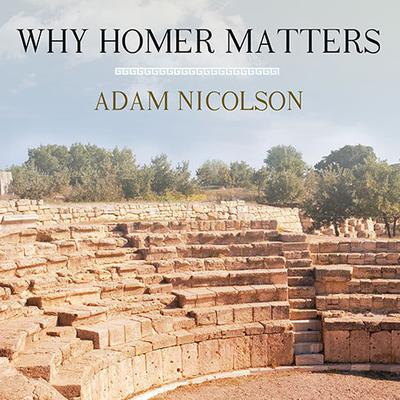 Why Homer Matters Audiobook, by Adam Nicolson