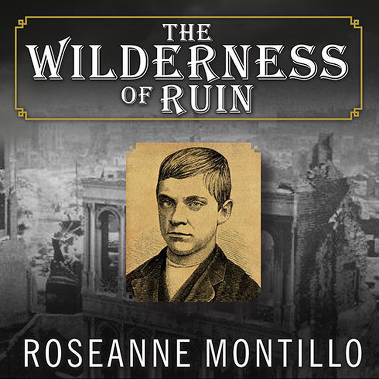 The Wilderness of Ruin: A Tale of Madness, Fire, and the Hunt for Americas Youngest Serial Killer Audiobook, by Roseanne Montillo