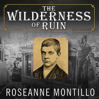 The Wilderness of Ruin: A Tale of Madness, Fire, and the Hunt for America's Youngest Serial Killer Audiobook, by Roseanne Montillo