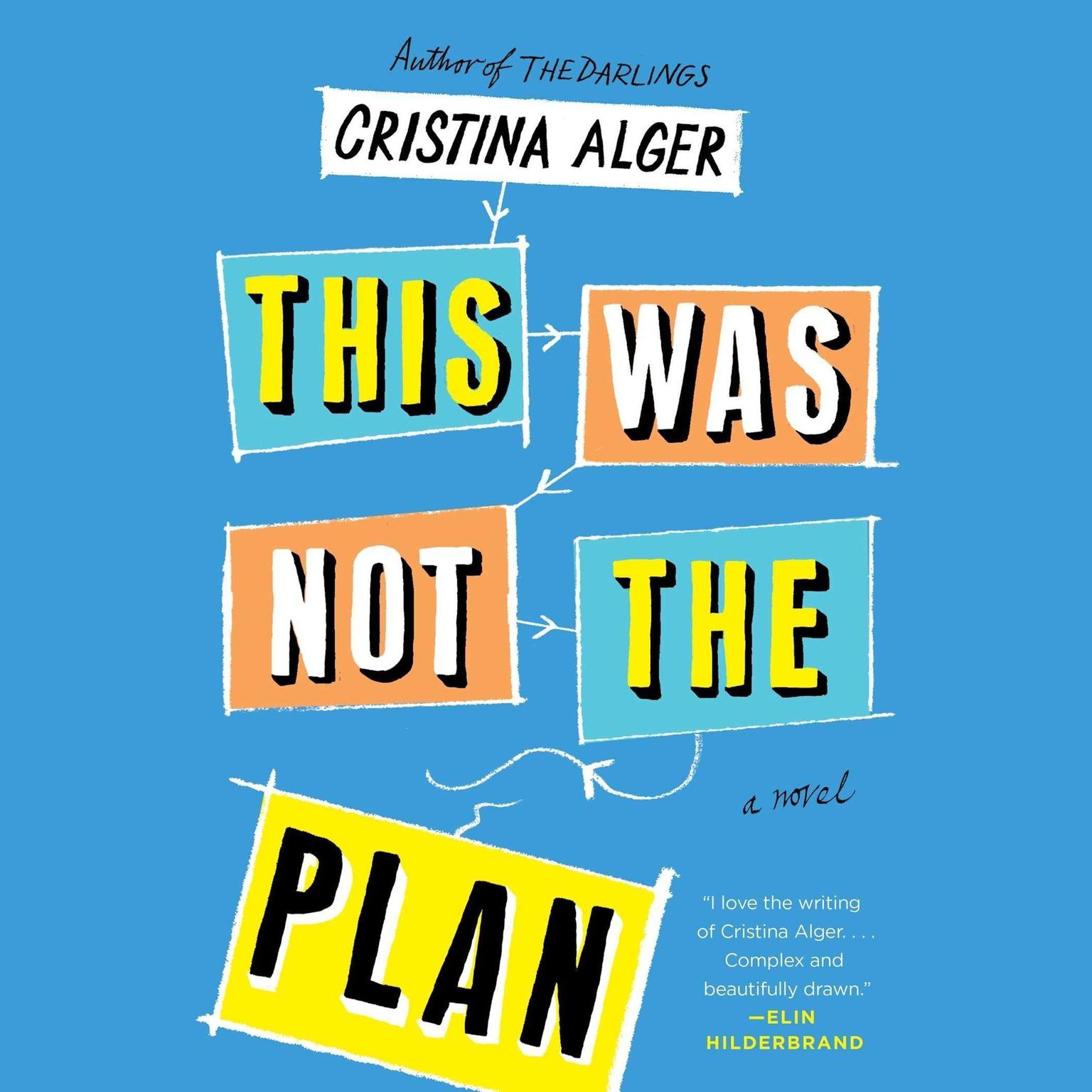 This Was Not the Plan: A Novel Audiobook, by Cristina Alger