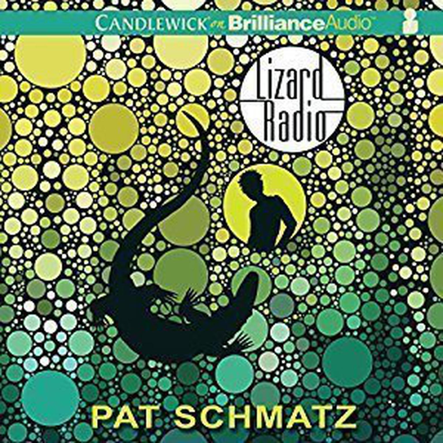 Lizard Radio Audiobook, by Pat Schmatz