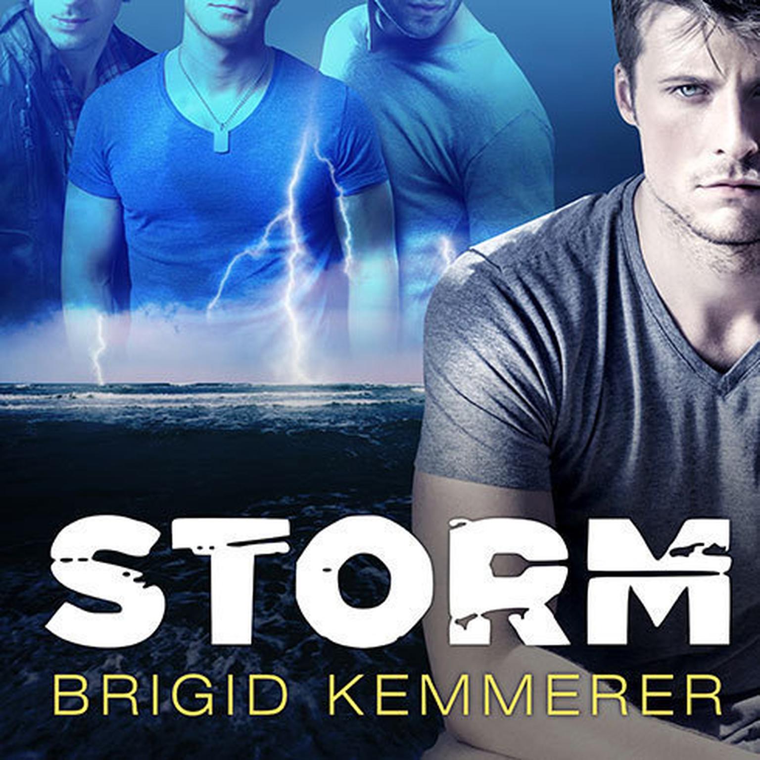 Storm Audiobook, by Brigid Kemmerer
