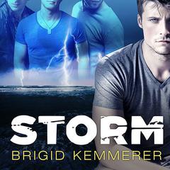 Storm Audiobook, by Brigid Kemmerer