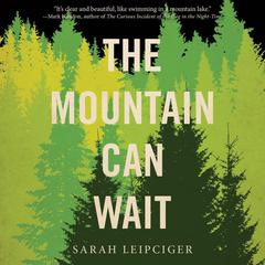 The Mountain Can Wait Audiobook, by Sarah Leipciger