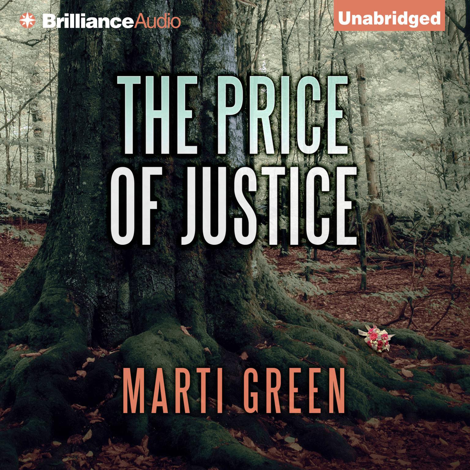 The Price of Justice Audiobook, by Marti Green