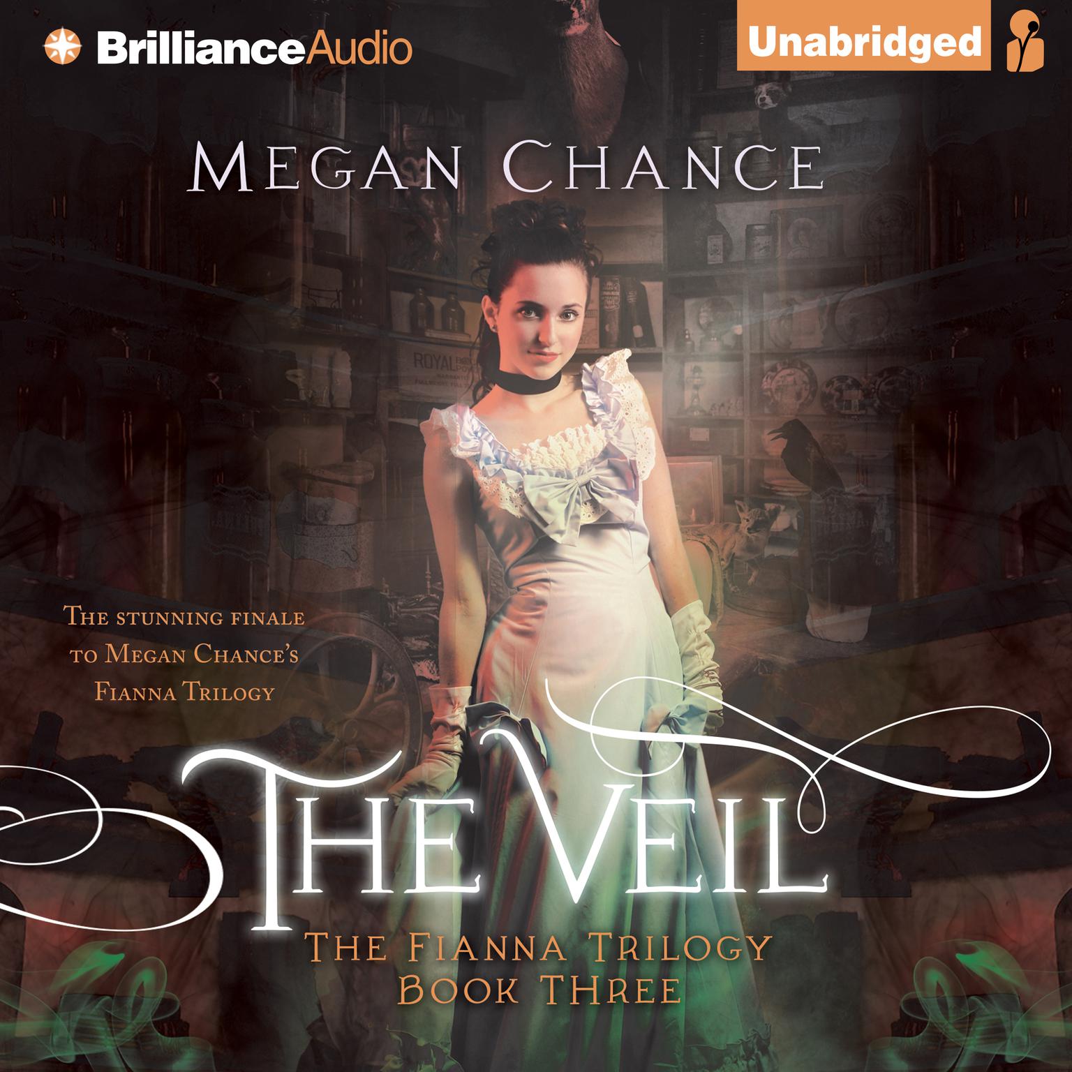 The Veil Audiobook, by Megan Chance