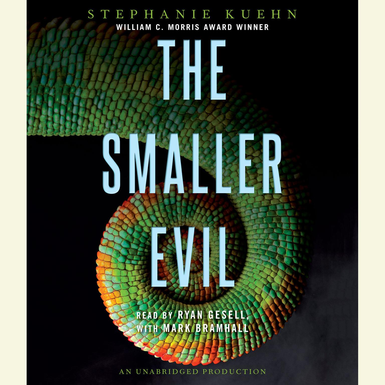 The Smaller Evil Audiobook, by Stephanie Kuehn