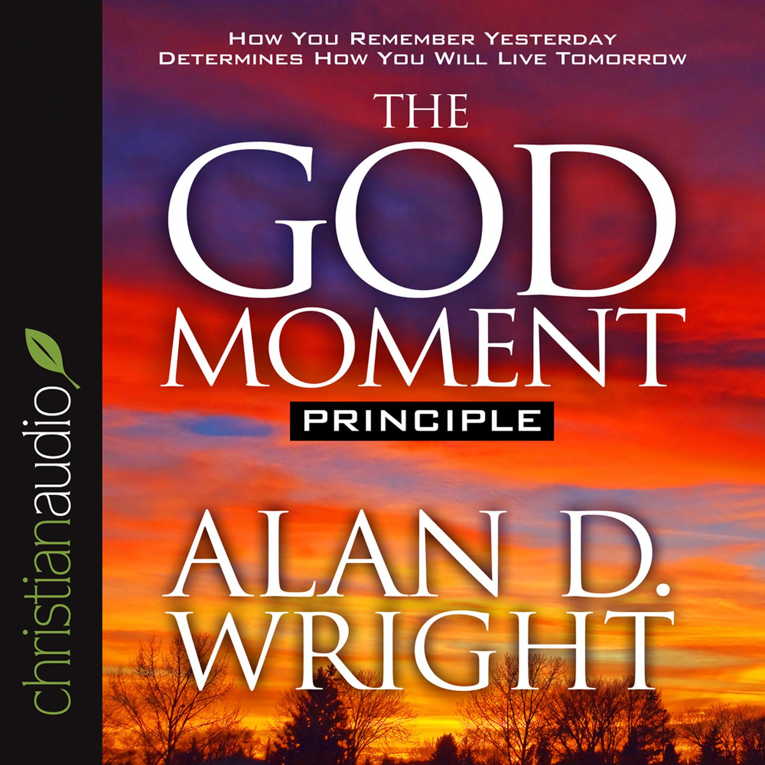 God Moment Principle (Abridged) Audiobook, by Alan D.  Wright