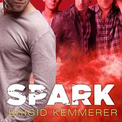 Spark Audiobook, by Brigid Kemmerer
