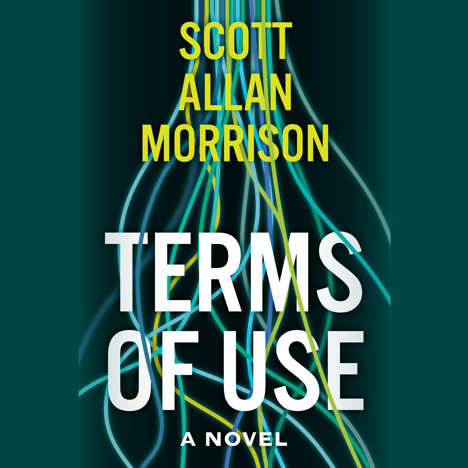 Terms of Use: A Novel Audiobook, by Scott Allan Morrison