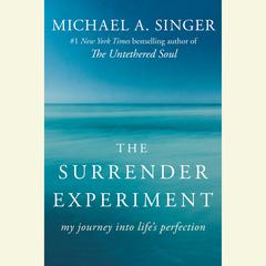 The Surrender Experiment: My Journey into Lifes Perfection Audiobook, by Michael A. Singer