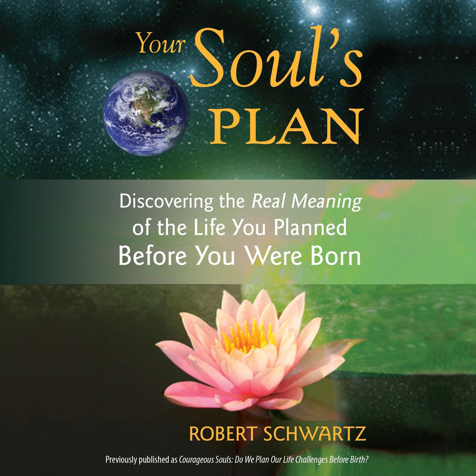 Your Souls Plan: Discovering the Real Meaning of the Life You Planned Before You Were Born Audiobook, by Robert Schwartz