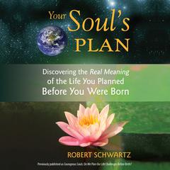 Your Souls Plan: Discovering the Real Meaning of the Life You Planned Before You Were Born Audiobook, by Robert Schwartz
