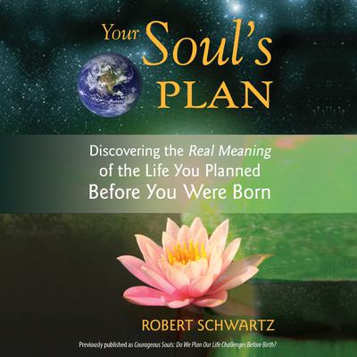 Your Soul's Plan: Discovering the Real Meaning of the Life You Planned Before You Were Born Audiobook, by 