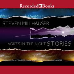 Voices in the Night: Stories Audiobook, by Steven Millhauser