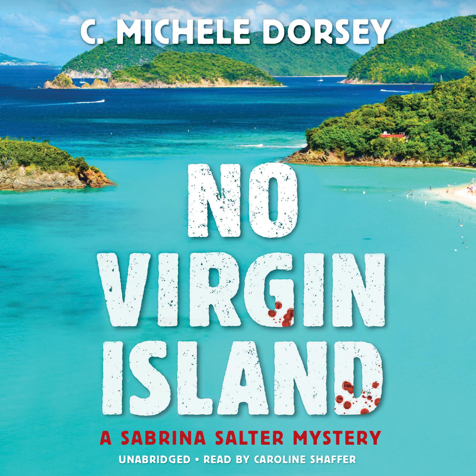 No Virgin Island: A Sabrina Salter Mystery Audiobook, by C. Michele Dorsey