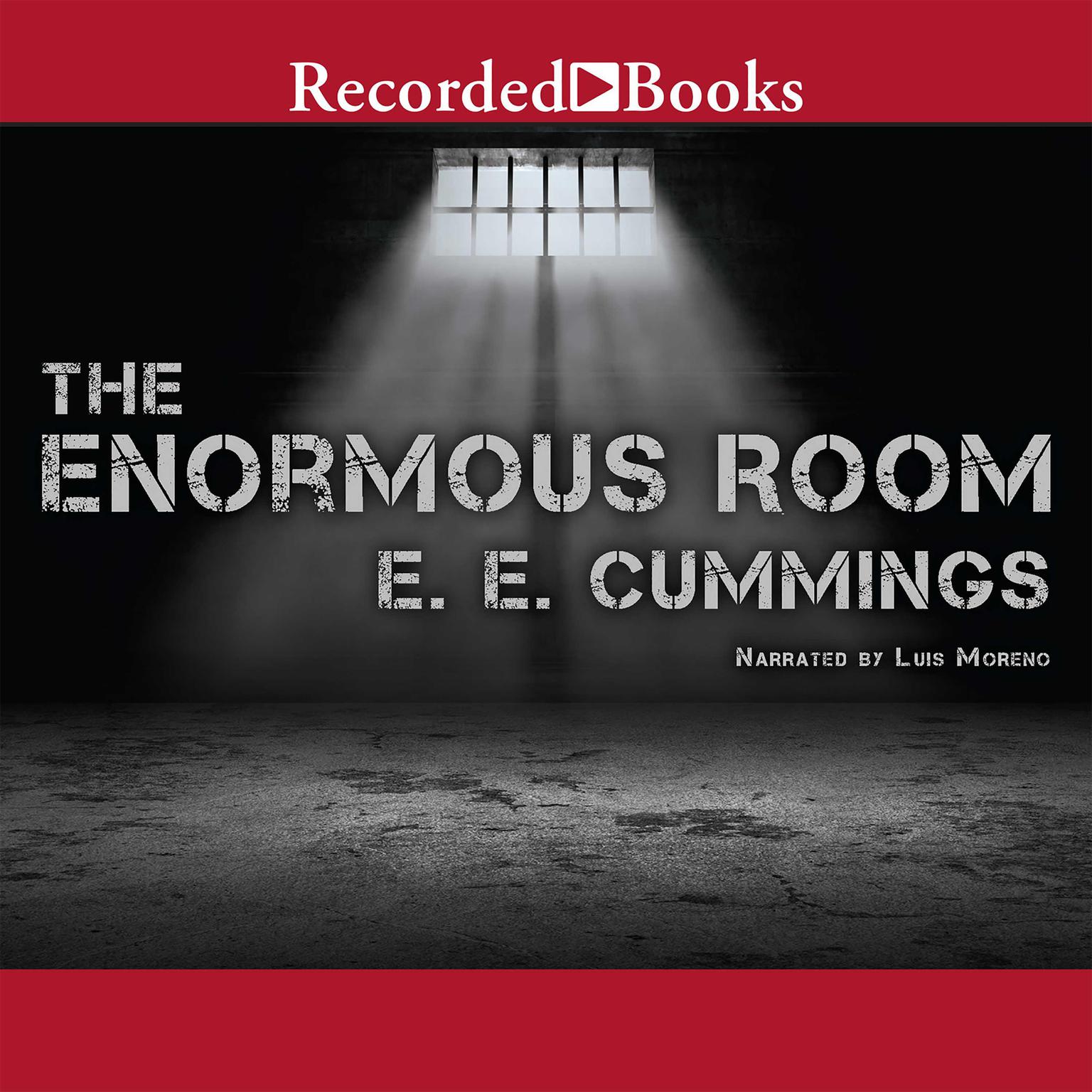 The Enormous Room Audiobook, by E. E. Cummings