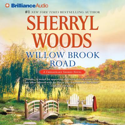Willow Brook Road Audiobook, by 