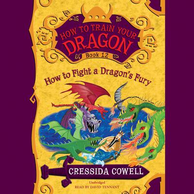 How to Train Your Dragon:  How to Fight a Dragon's Fury Audiobook, by 