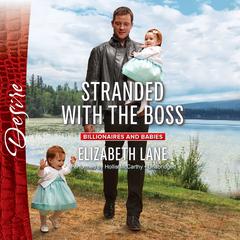 Stranded with the Boss Audiobook, by Elizabeth Lane