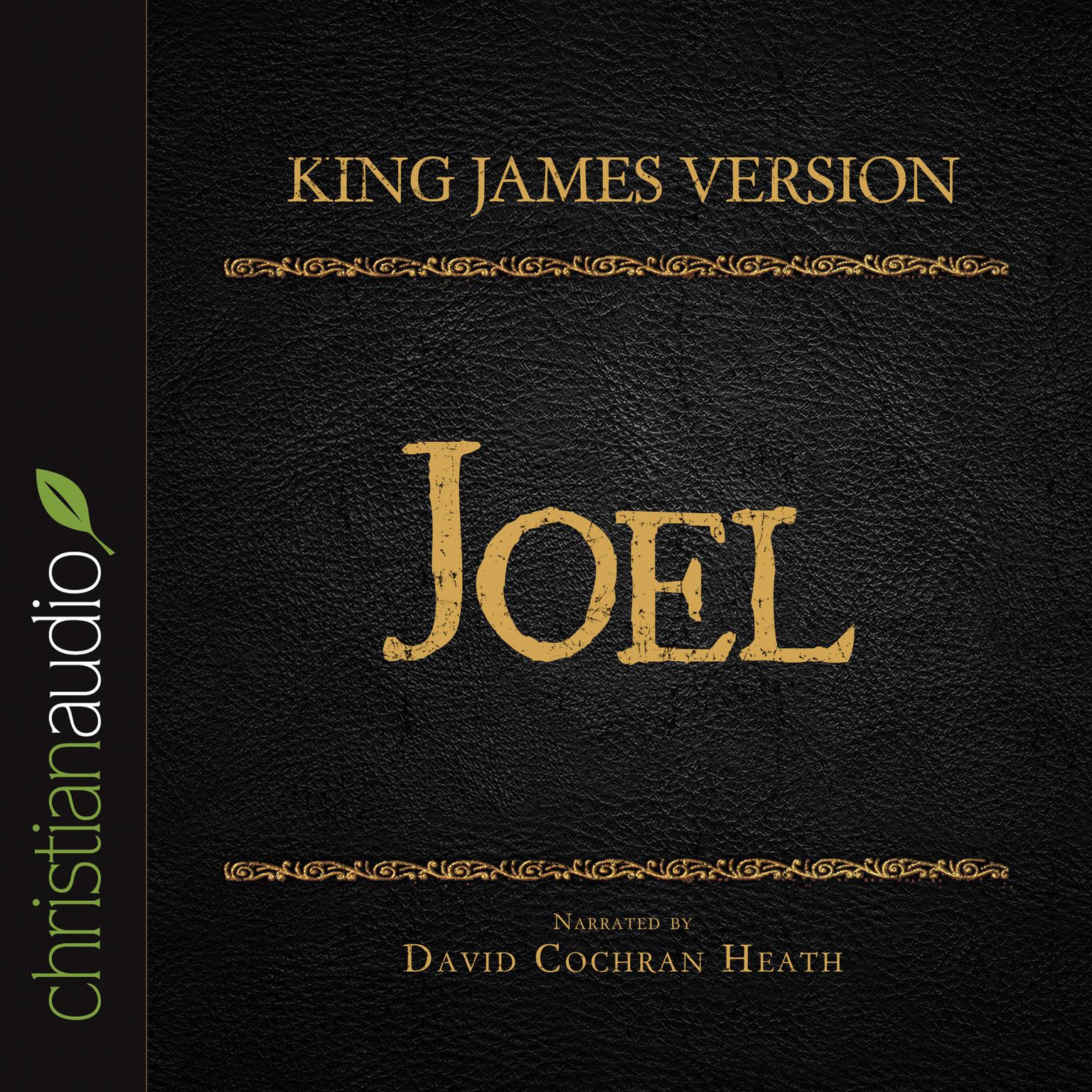 Holy Bible in Audio - King James Version: Joel Audiobook, by David Cochran Heath