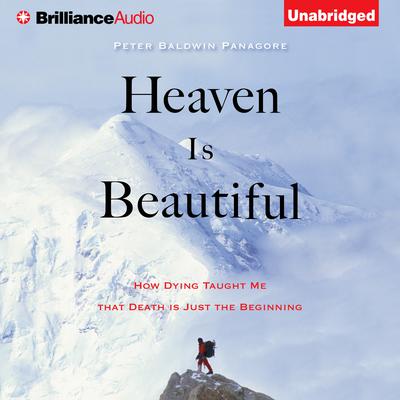 Heaven Is Beautiful: How Dying Taught Me That Death Is Just the Beginning Audiobook, by Peter Baldwin Panagore