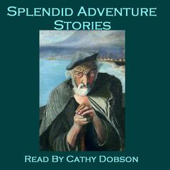Splendid Adventure Stories: Gripping Tales from the Master Storytellers Audiobook, by various authors