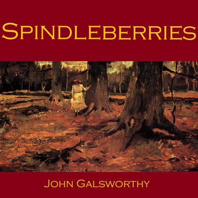 Spindleberries Audiobook, by John Galsworthy