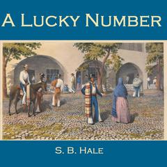 A Lucky Number Audiobook, by S. B. Hale