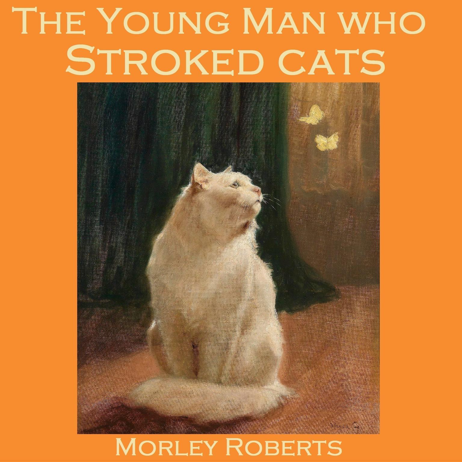 The Young Man Who Stroked Cats Audiobook, by Morley Roberts