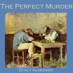 The Perfect Murder Audiobook, by Stacy Aumonier
