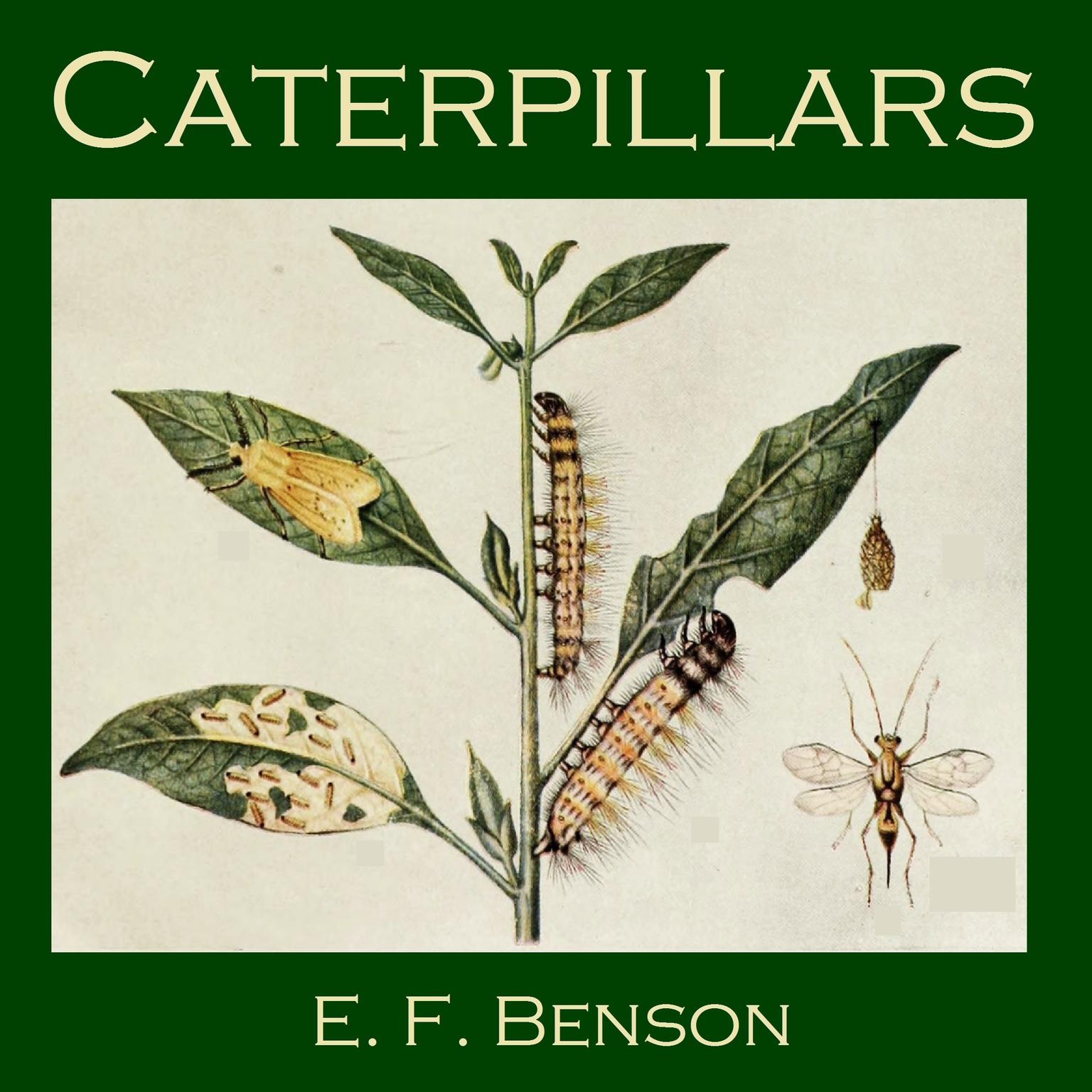 Caterpillars Audiobook, by E. F. Benson