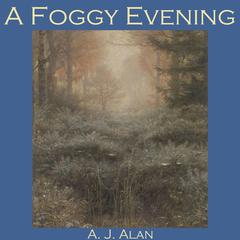 A Foggy Evening Audiobook, by A. J. Alan
