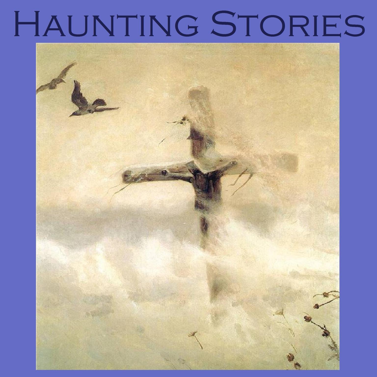 Haunting Stories Audiobook, by various authors