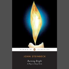 Burning Bright: A Play in Story Form Audiobook, by 