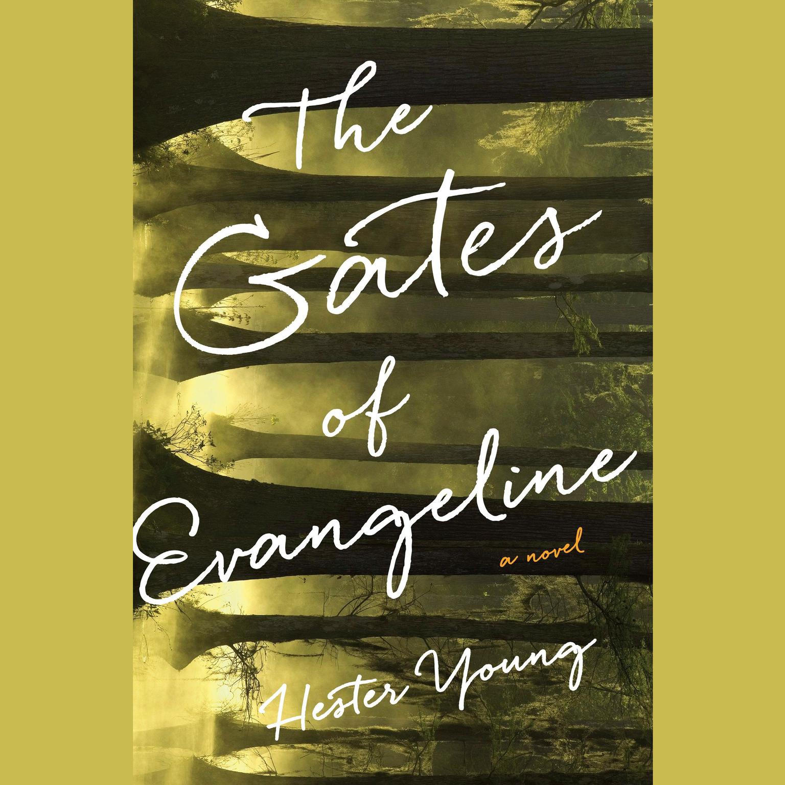 The Gates of Evangeline Audiobook, by Hester Young