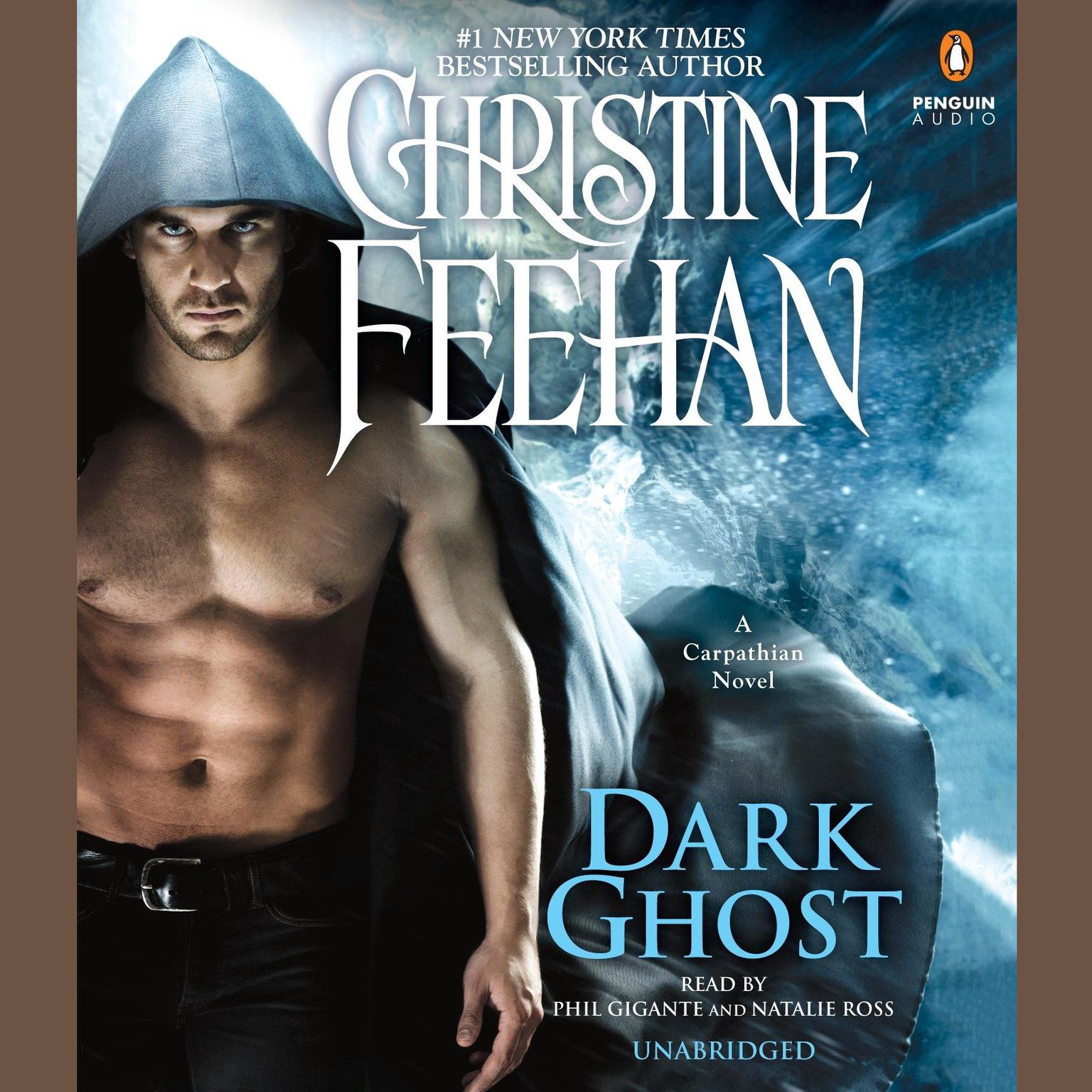 Dark Ghost Audiobook, by Christine Feehan