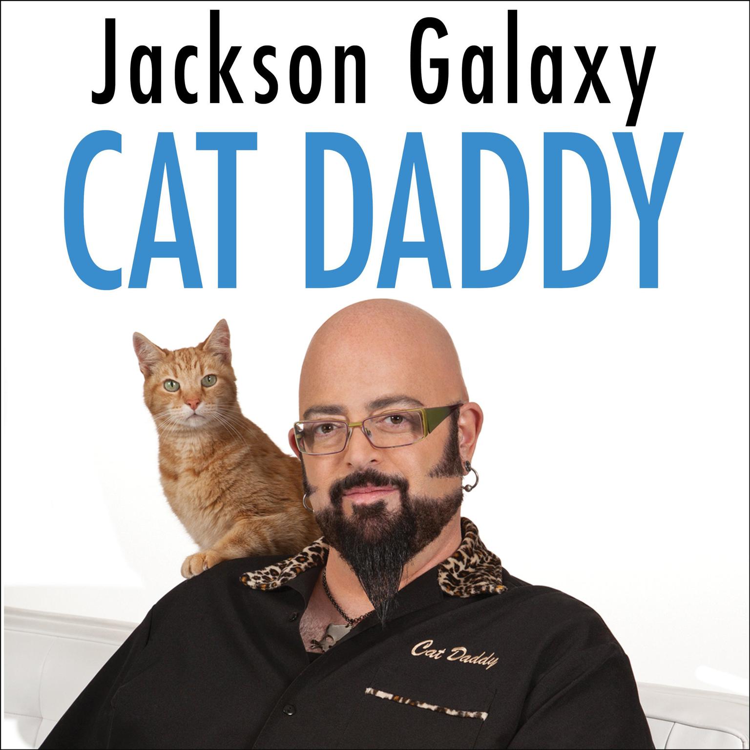 Cat Daddy: What the Worlds Most Incorrigible Cat Taught Me About Life, Love, and Coming Clean Audiobook, by Joel Derfner