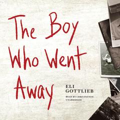 The Boy Who Went Away: A Novel Audiobook, by Eli Gottlieb