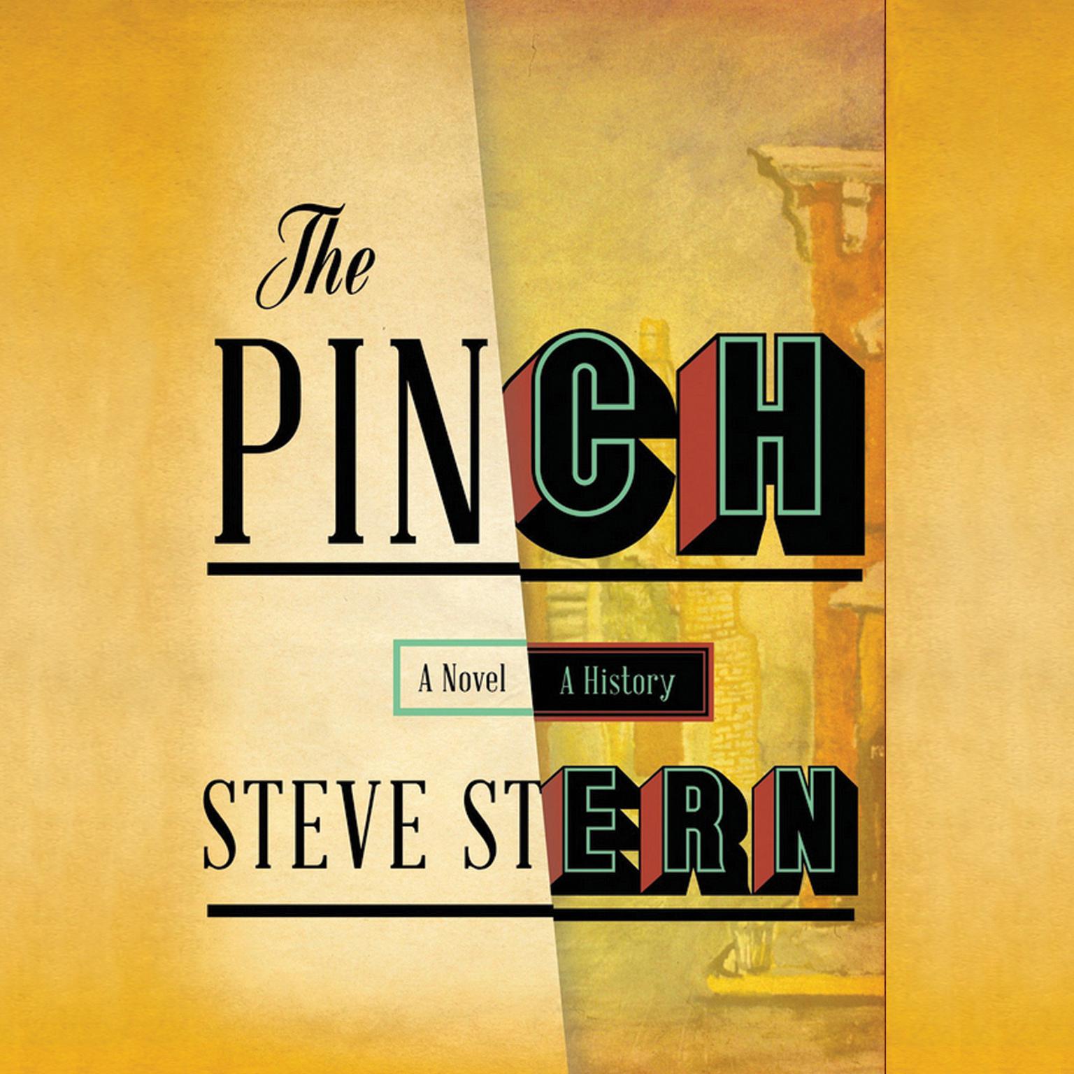 The Pinch Audiobook, by Steve Stern