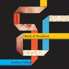 Book of Numbers Audiobook, by Joshua Cohen